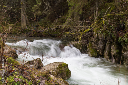 Endless stream. Beautiful fast mountain river in forest. Slovakia. photo