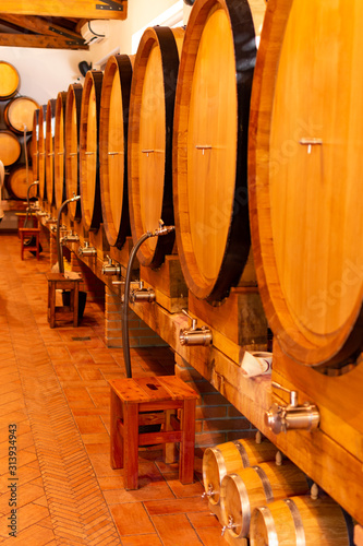 Oak barrels with different types of wine in Italian winery  tasting and sale of wine