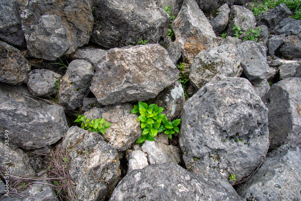 Texture of a stone wall. Old castle stone wall texture background. Stone wall as a background or texture. Part of a stone wall, for background or texture