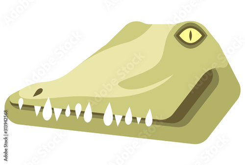 Crocodile portrait made in unique simple cartoon style. Head of crocodile or alligator. Isolated icon for your design. Vector illustration