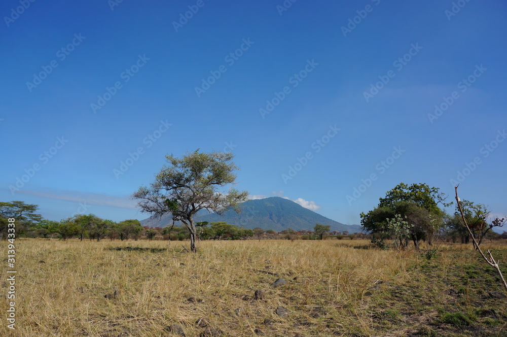 The savanna is dominated by dry grass and a few trees that spread wide with mountain and canyon background, it can be seen that some savanna inhabitants are looking for food. The savanna is dominated by dry grass and a few trees that spread wide with mountain and canyon background, it can be seen that some savanna inhabitants are looking for food.