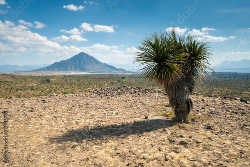 Cantona, Puebla, Mexico - a mesoamerican archaeoligical site with only few visitors photo