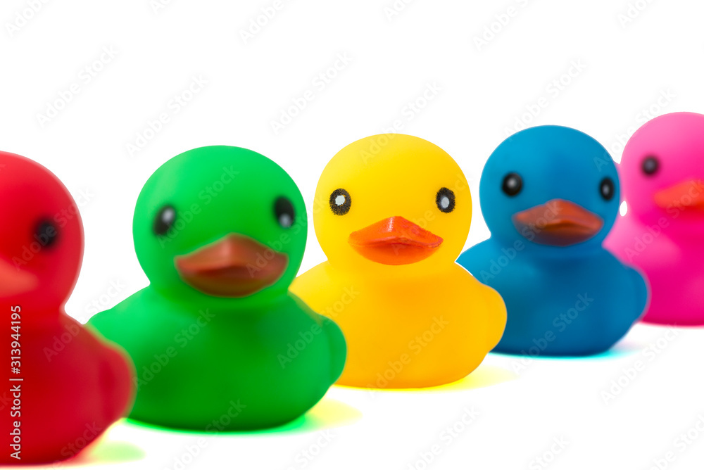 A row of rubber ducks on a white background. Bright colored rubber ducks in a line. Rubber ducks in a row isolated on a white background A row of rubber ducks on a white background. Bright colored rubber ducks in a line. Rubber ducks in a row isolated on a white background