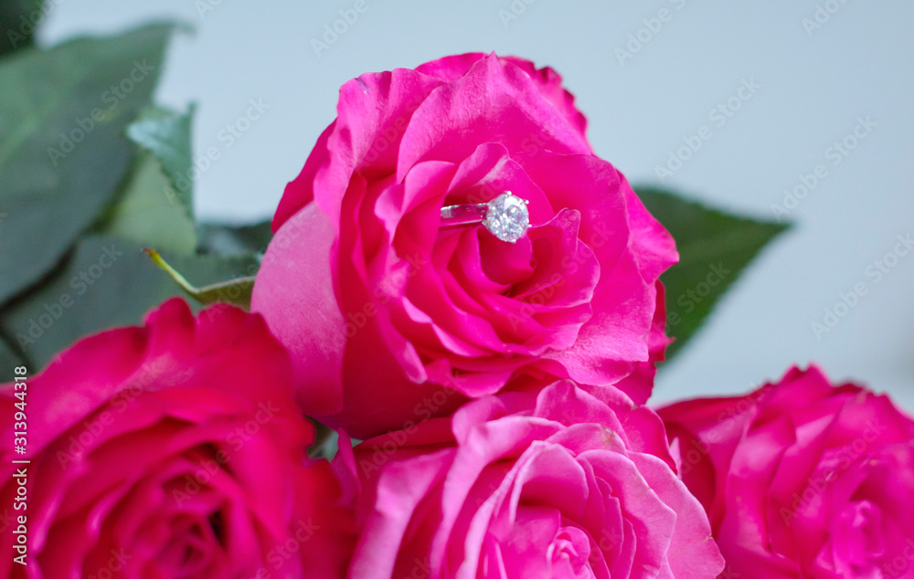beautiful pink roses and an engagement ring with a diamond, the concept of Valentine's day or engagement party beautiful pink roses and an engagement ring with a diamond, the concept of Valentine's day or engagement party
