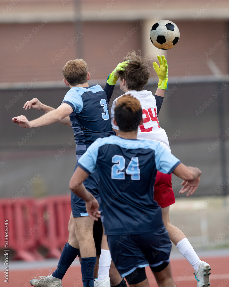 Fototapeta premium Young Soccer Players Making Athletic Plays During a Soccer Game