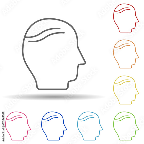 Baldness, disease, head in multi color style icon. Simple thin line, outline vector of charity icons for ui and ux, website or mobile application