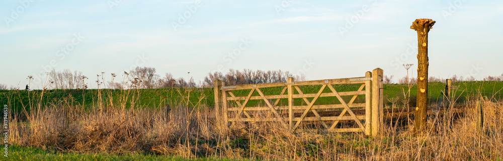 Fence in Dutch polder landscape
