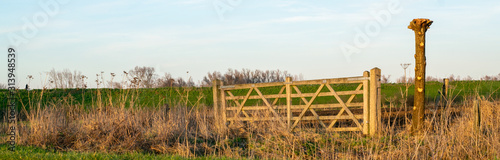 Fence in Dutch polder landscape © Daniel Doorakkers