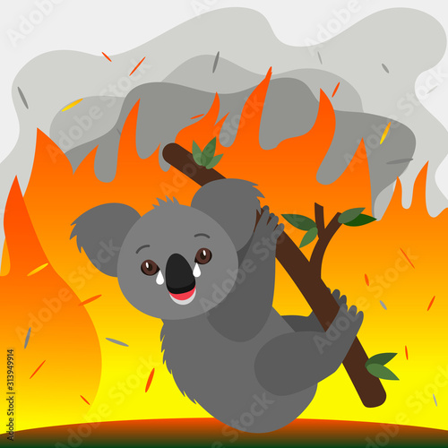 Global catastrophe fire in the forests of Australia. The unfortunate koala is afraid of fire and cries