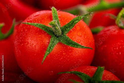 Lots of fresh ripe tomatoes with drops of dew. Close-up background with texture of red hearts with green tails. Fresh cherry tomatoes with green leaves. Background red tomatoes. 