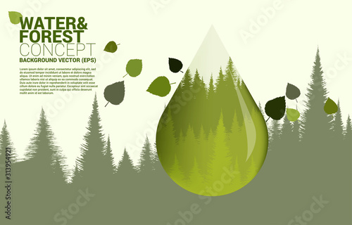 Natural forest inside drop water. background for take care and save the environment. Forest and water theme.