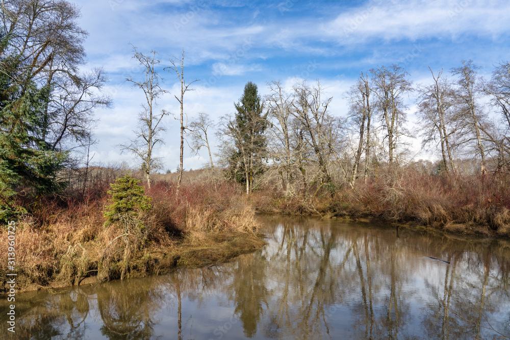 Fototapeta premium Preachers Slough, Montesano, Washington State