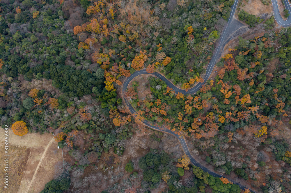 Winding road through Autumn Mountains, Nara, Japan. Top Down Aerial View