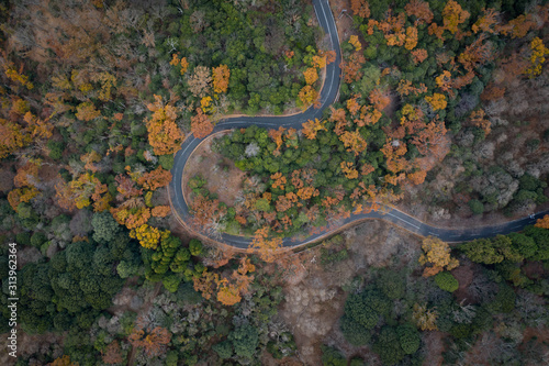 Nara Winding Road Through Autumn Mountains, Top Down Aerial