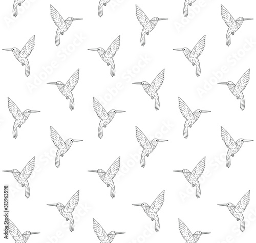 Vector seamless pattern of hand drawn doodle sketch hummingbird isolated on white background