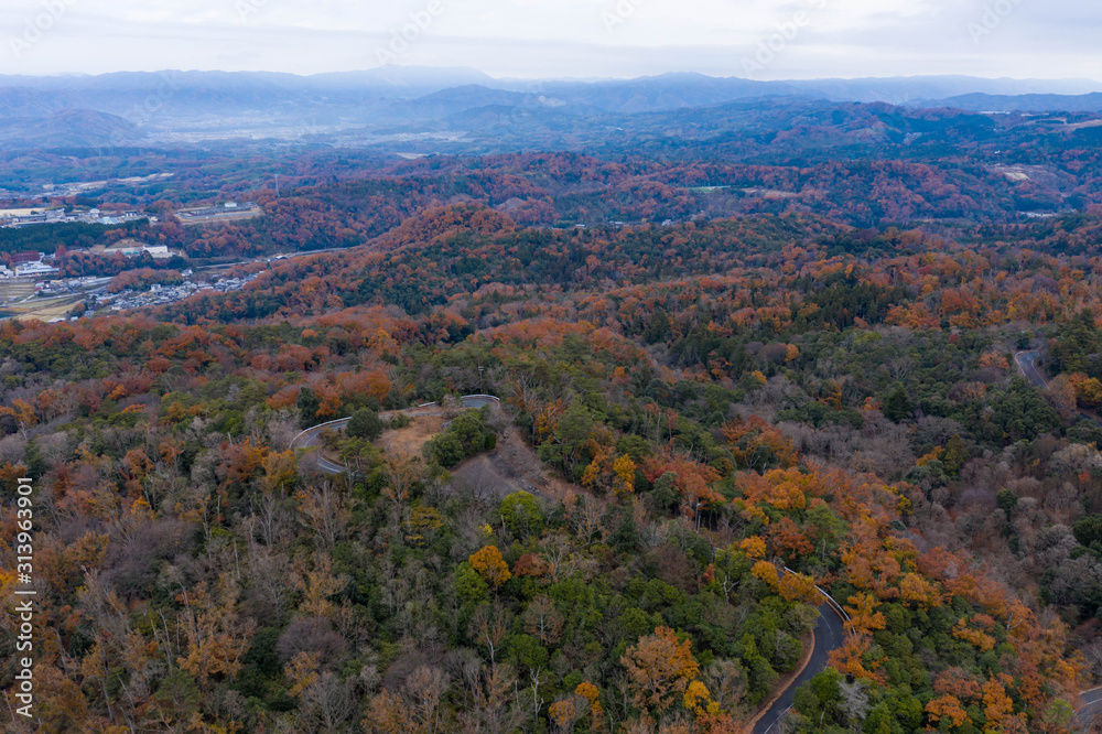 Autumn color in hills of Nara, Japan Wide Panoramic View
