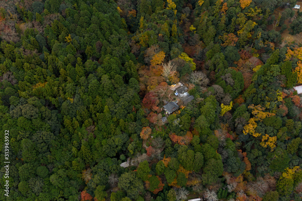 Small Temple in Kyoto Arashiyama mountains, Aerial View with Copy space
