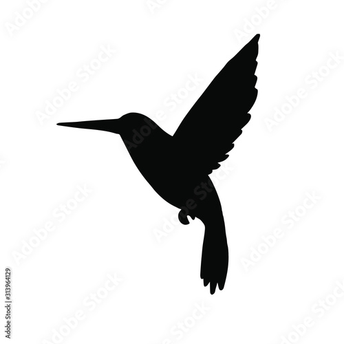 Vector black hummingbird silhouette isolated on white background