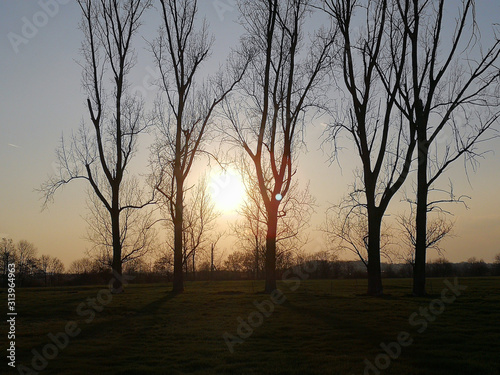 idyllische romantische Landschaft mit Baeumen und Fluss am Abend bei Sonnenuntergang photo