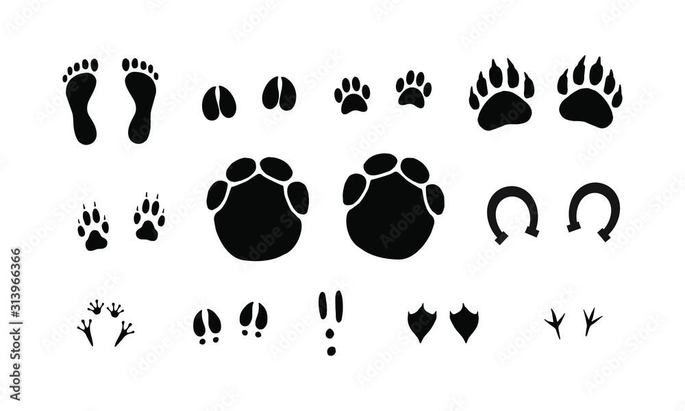 Vector set bundle of black outline different animals foot print isolated on white background Vector set bundle of black outline different animals foot print isolated on white background