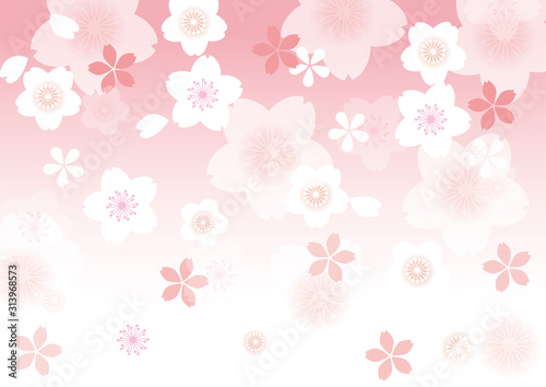 桜の背景
