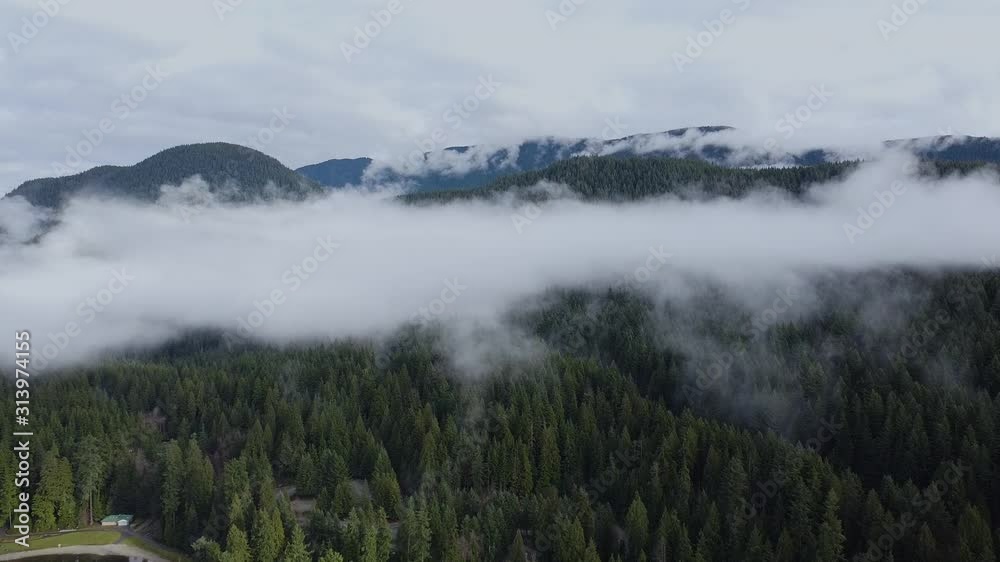 Aerial view of the forest covered with clouds and fog Aerial view of the forest covered with clouds and fog