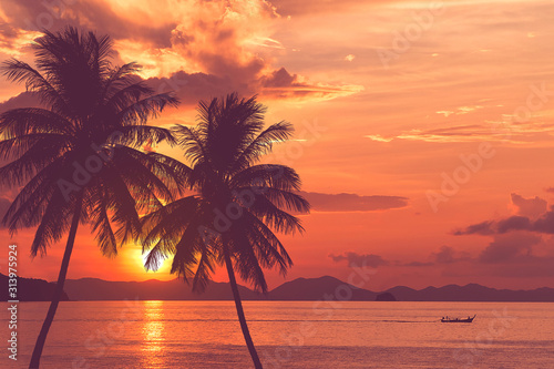 tropical palm tree and sea sunset summer background