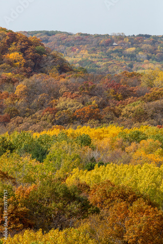 Vertical photograph of river valley turning multi colors on a beautiful fall day