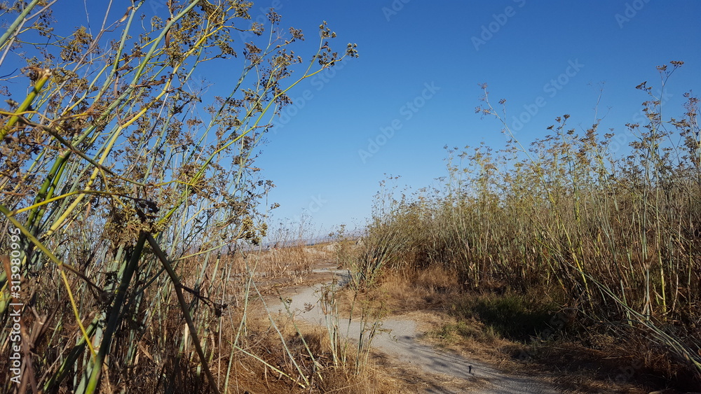 Foster City Trail Foster City Trail