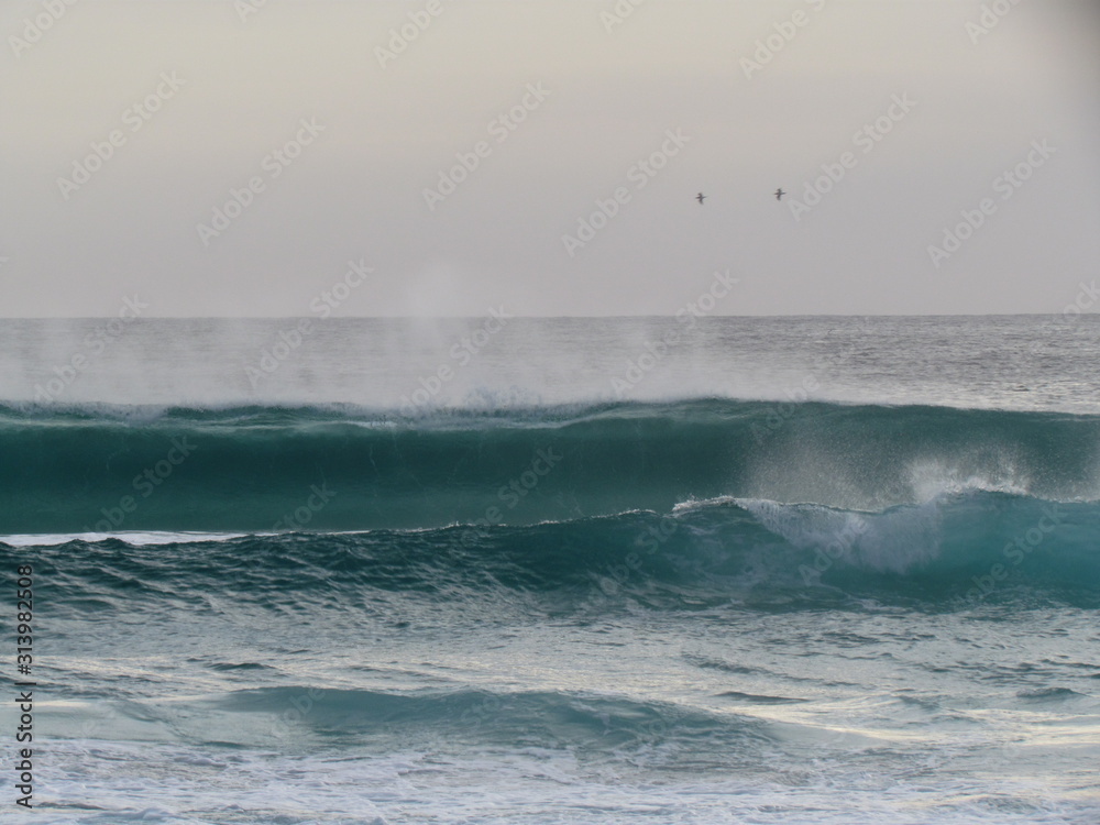 Fototapeta premium Summer morning at the beach with high tide and high winds.