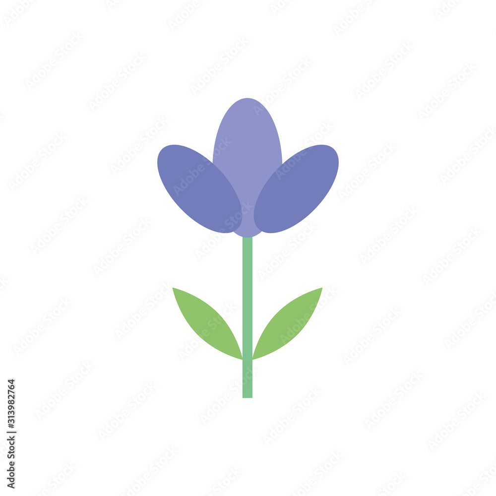 beautiful flower spring isolated icon beautiful flower spring isolated icon