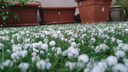 Destructive hail thunder storm hitting grass in garden with hailstones and causing damage, very severe natural disaster followed by heavy rains causing floods. photo