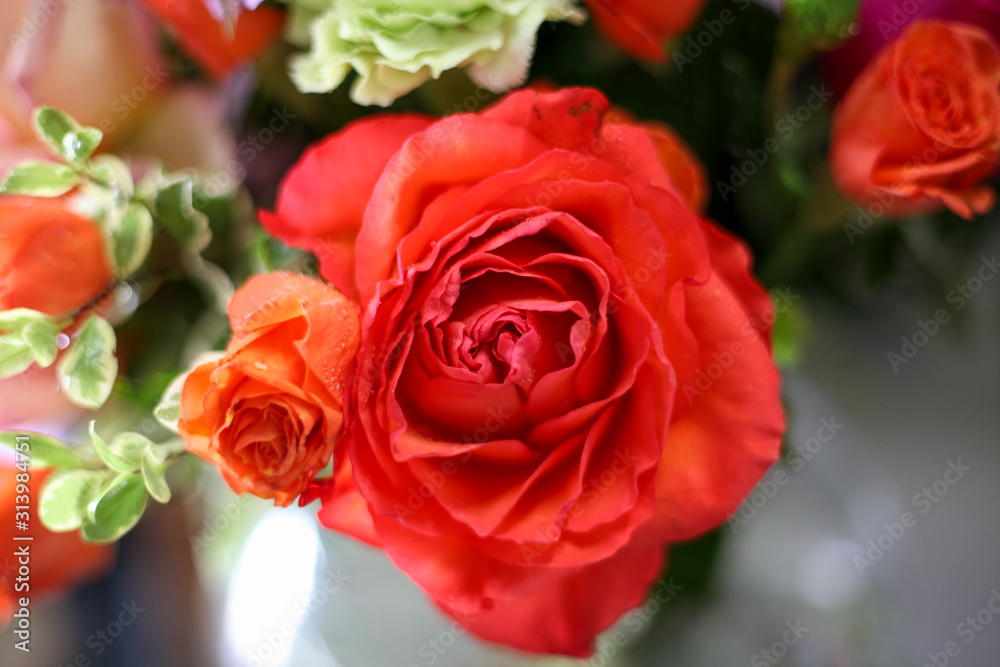 Fototapeta premium flower arrangement, bouquet of flowers