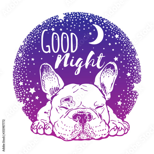 Sleeping french bulldog puppy. Good night illustration