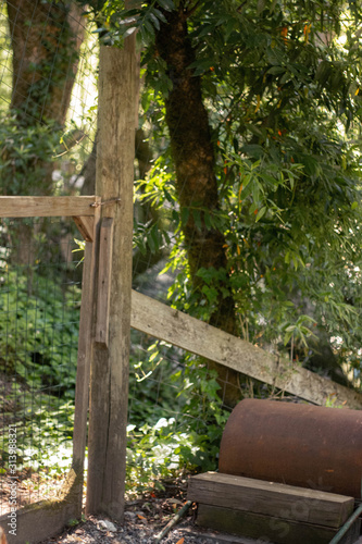 Wire Fence Wooden Gate and Tin Barrel in Forest