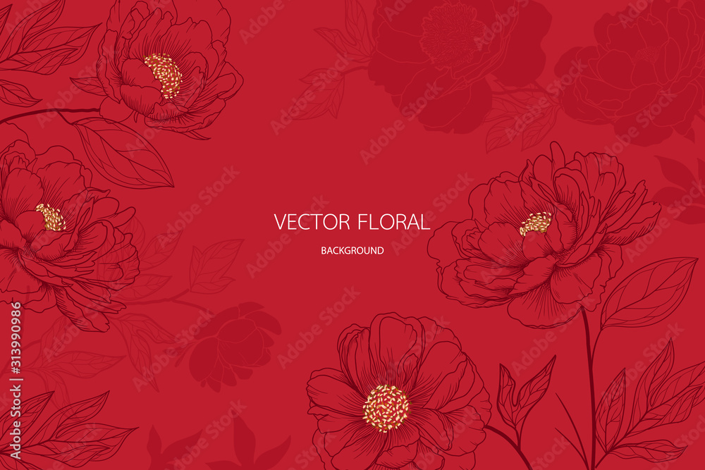 abstract red peony and gold light gradient lines background vector Illustration for card invite , wallpaper.