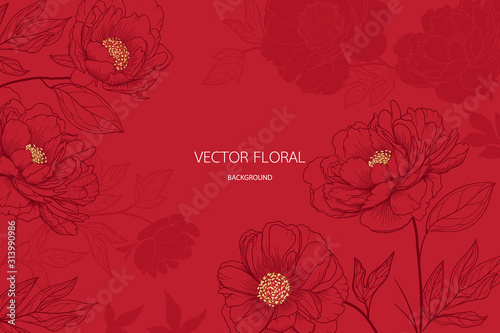abstract red peony and gold light gradient lines background vector Illustration for card invite   wallpaper.