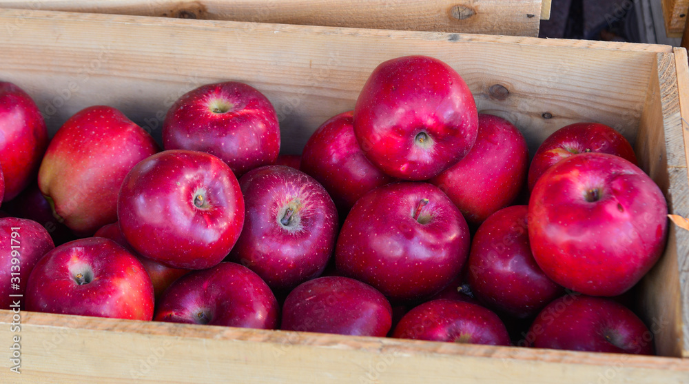 Fresh apple fruits for sale at street market Fresh apple fruits for sale at street market