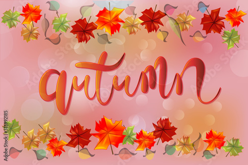 Autumn colorful fall leafs season greetings card holidays celebrations banner template vector image