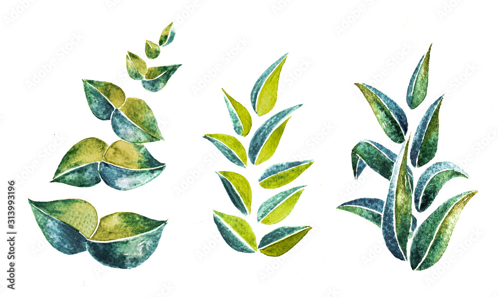 Abstract hand drawn watercolor of border with fresh branches and leaves ...