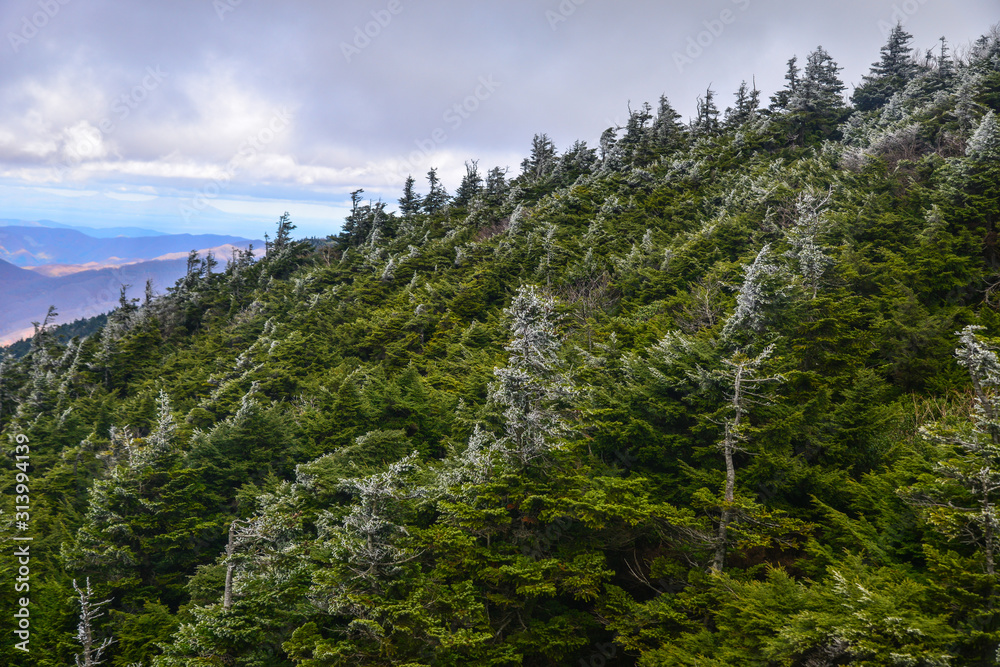 Scenery of Hakkoda Mountains in autumn Scenery of Hakkoda Mountains in autumn