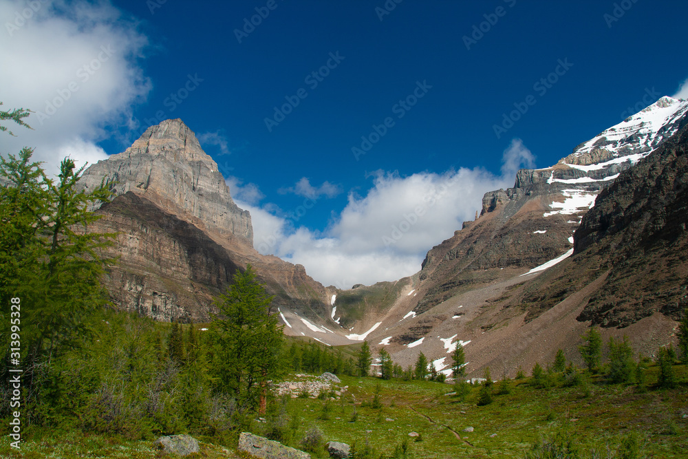 Fototapeta premium sentinel pass