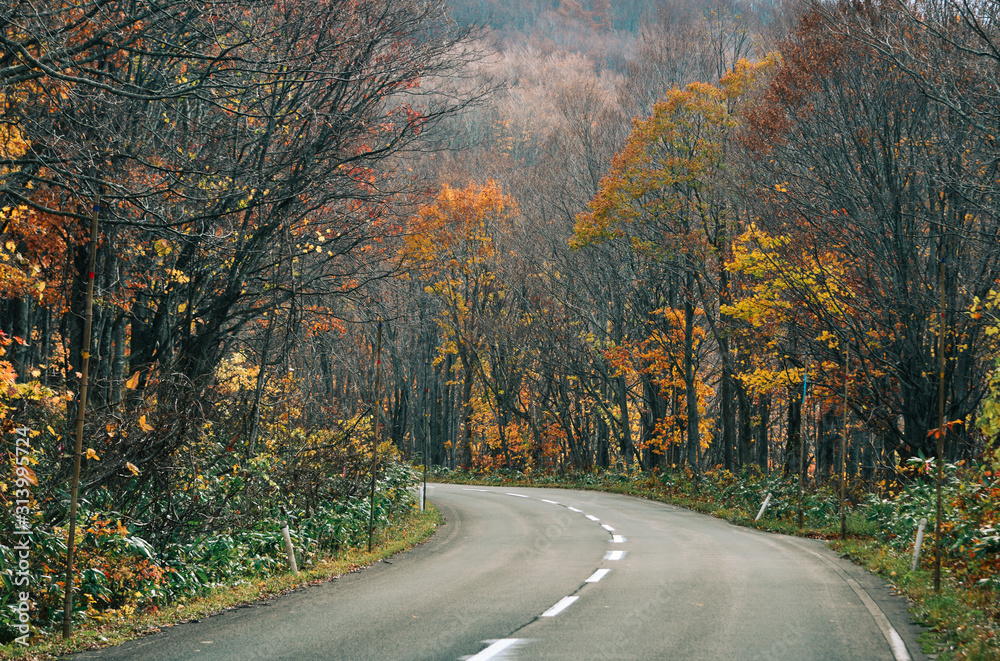 Fototapeta premium Autumn scenery of Aomori, Japan
