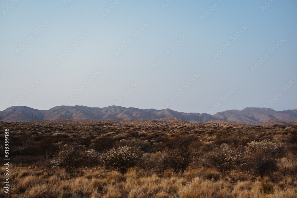 panorama photo of desert landscape in Namibia panorama photo of desert landscape in Namibia