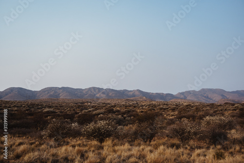 panorama photo of desert landscape in Namibia