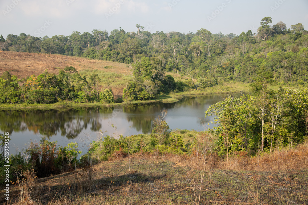 View over a Nong Pakchee waterhole in Khao Yai National Park, Thailand View over a Nong Pakchee waterhole in Khao Yai National Park, Thailand