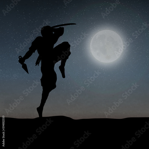 A Japanese Ninja Under The Moonlight