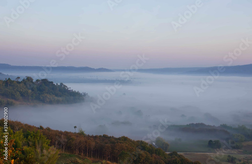 Morning mist covered by trees at Khao Takhian Ngo Phetchabun in Thailand.
