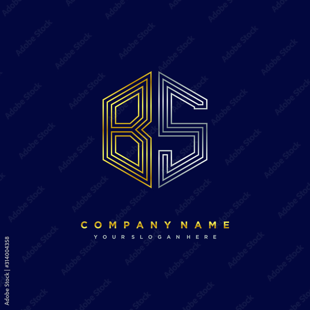 Initial letter BS, minimalist line art monogram hexagon logo, gold and silver color gradation Initial letter BS, minimalist line art monogram hexagon logo, gold and silver color gradation