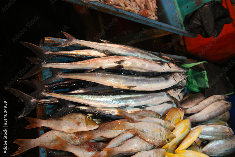 many fishes on the market
